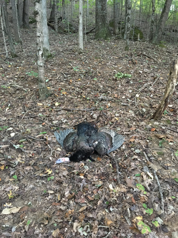 E5D5315F-42A8-4733-856A-66291980404F