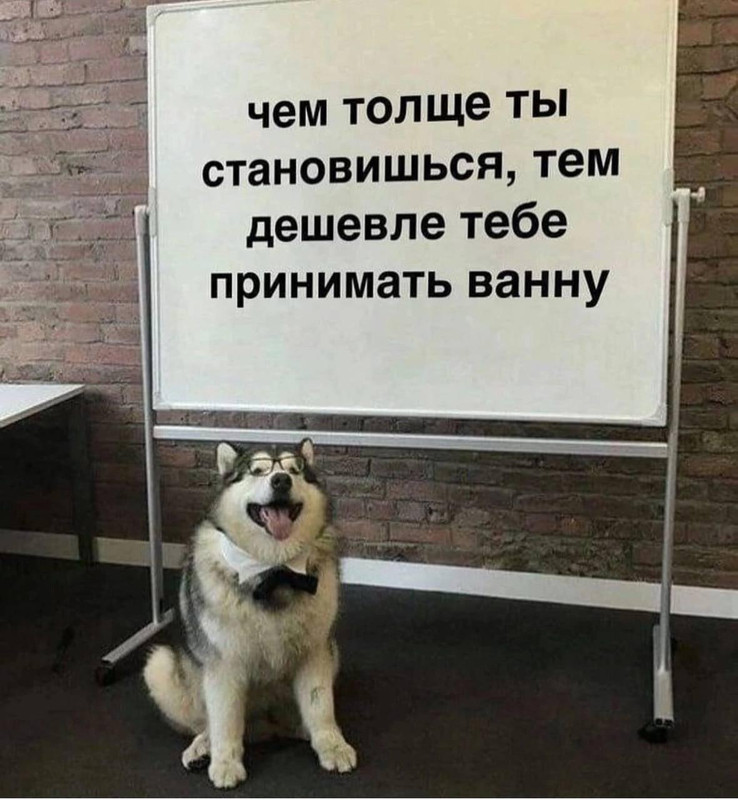 [Изображение: e22a89a2ed62cc93bbcc9843542daad9.jpg]