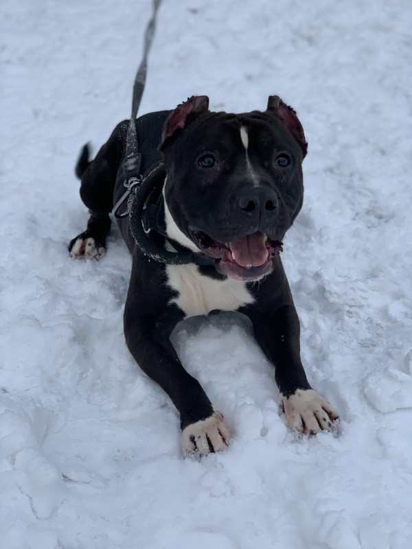 588EBA1B-2232-4484-8694-88AFF4269021