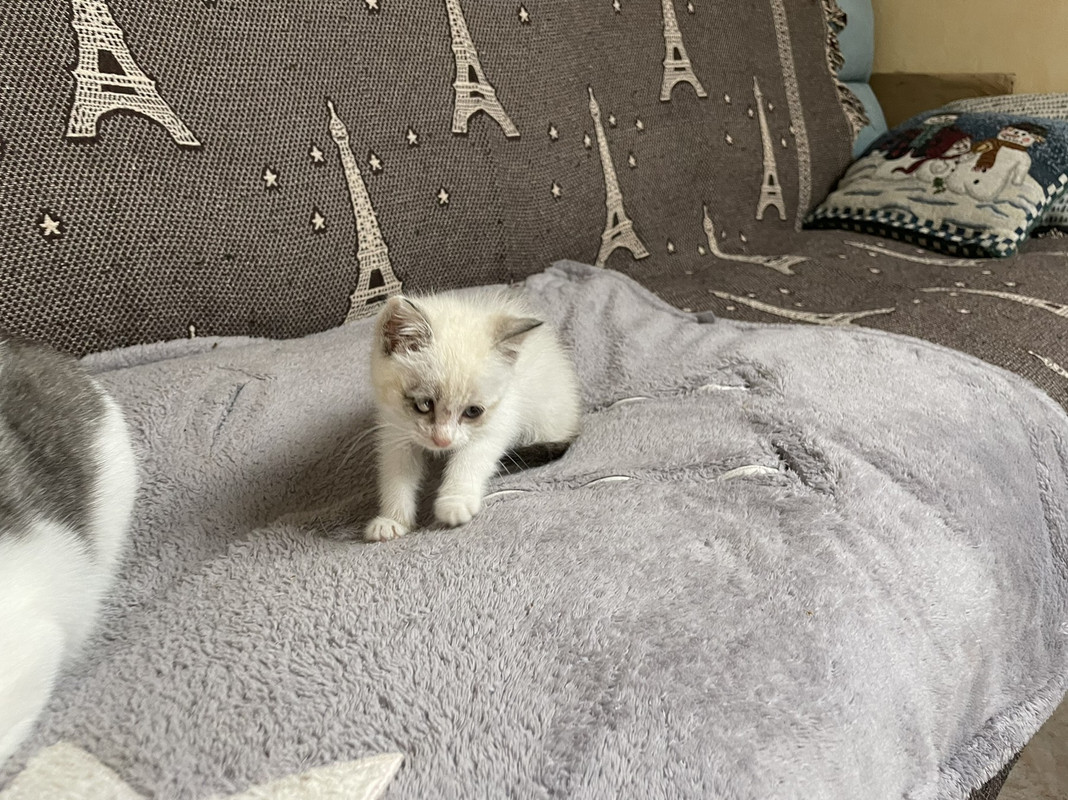 IMG-578d436c7091853a63a7904d9606fd88-V