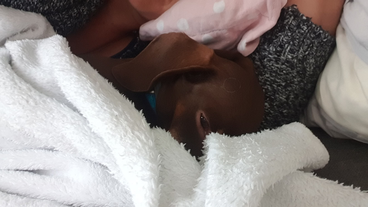 [Image: 20200927-173129.jpg]