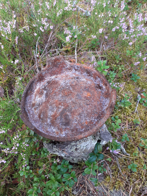 20200812_101217 – kopio