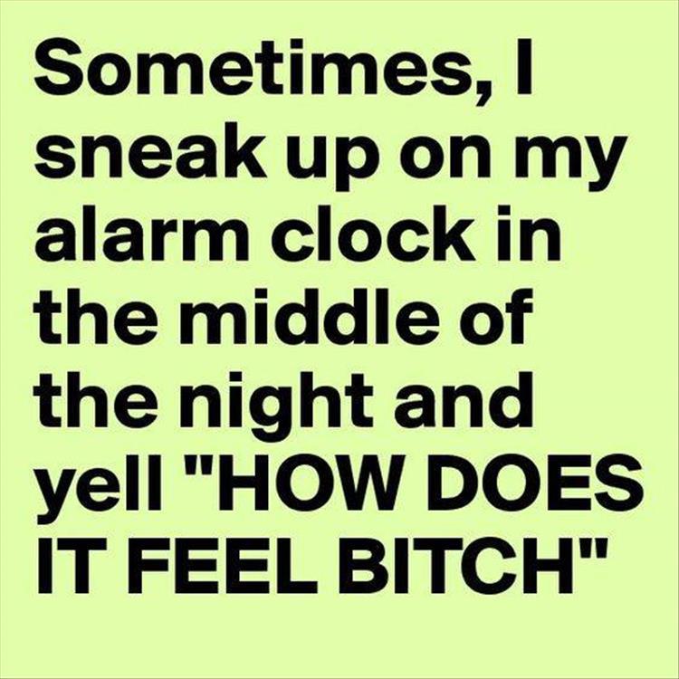 funny-187.jpg
