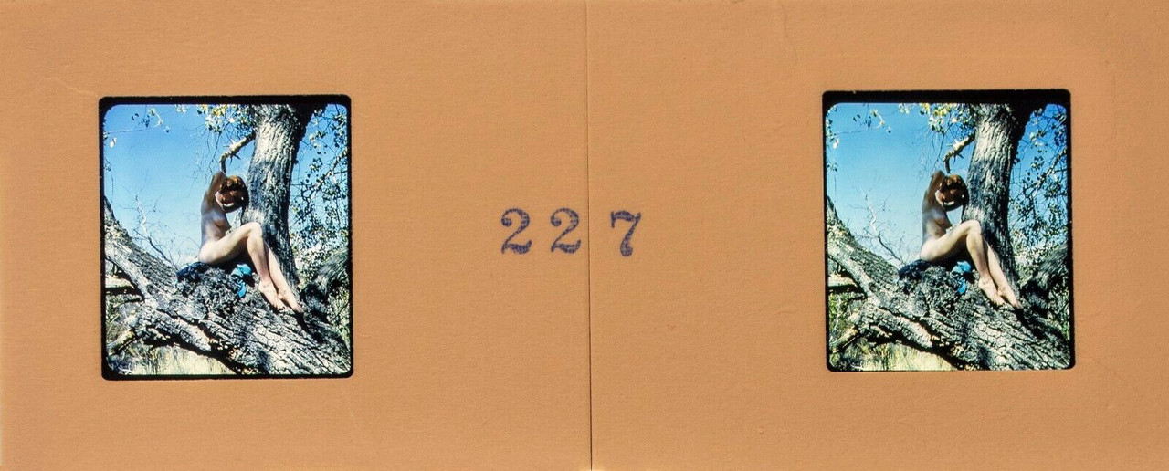 NUDE 227b