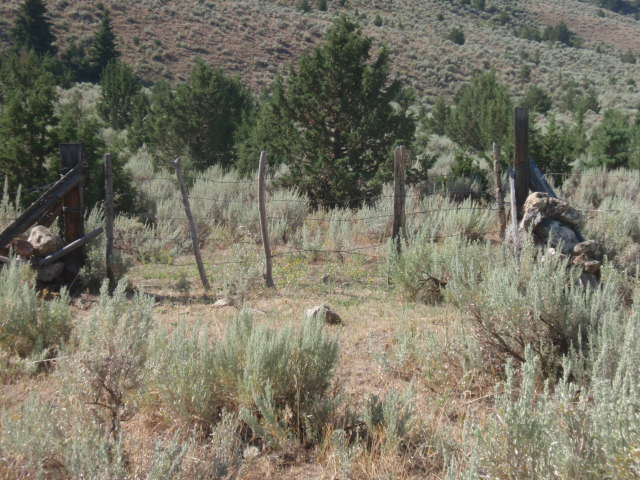 P8041565