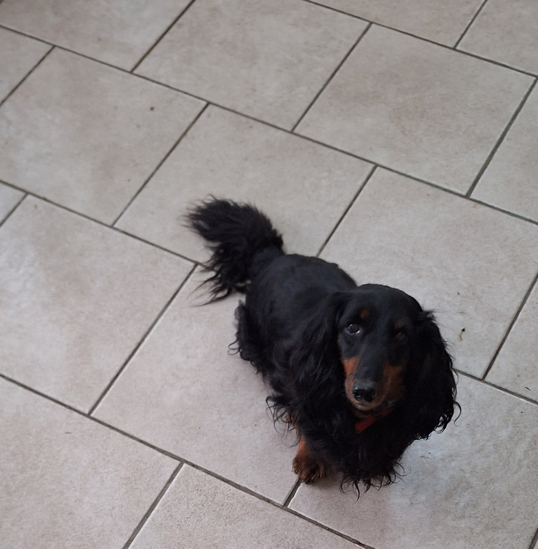 [Image: 20251020-184707.jpg]