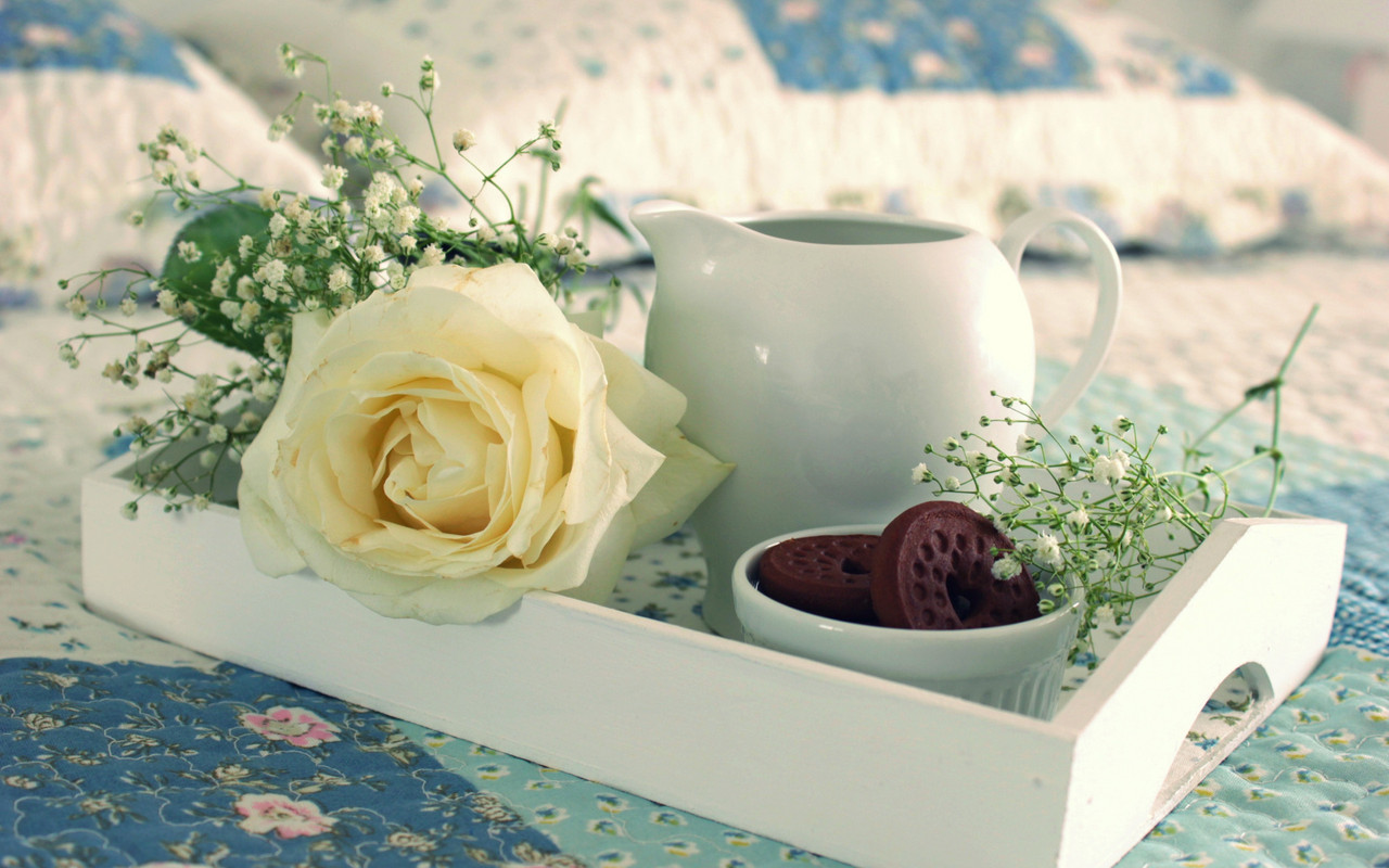 tea-rose-food-cookies-cake-food-cup-sweet-cakes-sweets-tea-cookies-biscuits
