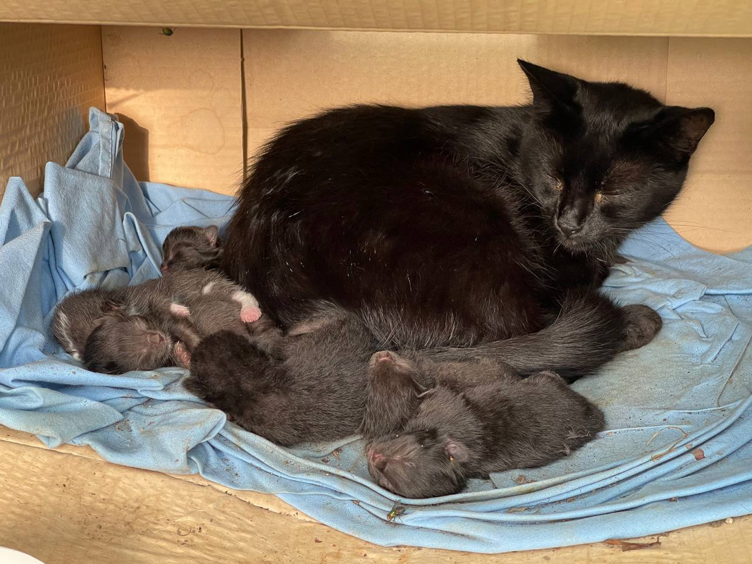 FFBA07BA-4714-4501-9C73-85626B3E1A0C