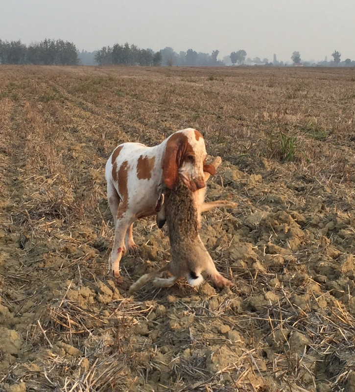 802FFB52-E7F5-4576-BD85-6BF3A6C2B26C