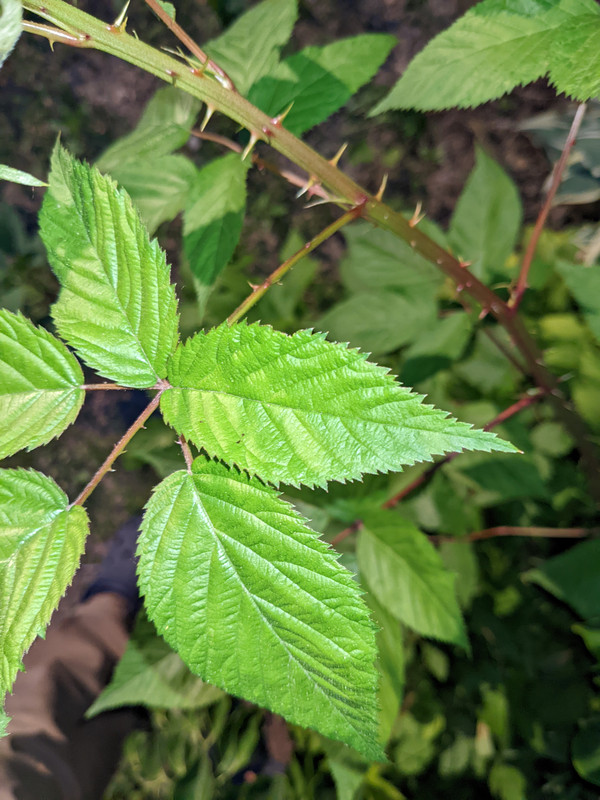 PXL_20220606_004627000