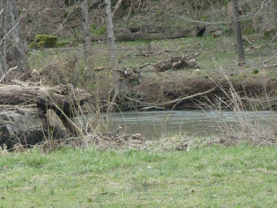 vlcsnap-2019-02-28-22h44m14s295