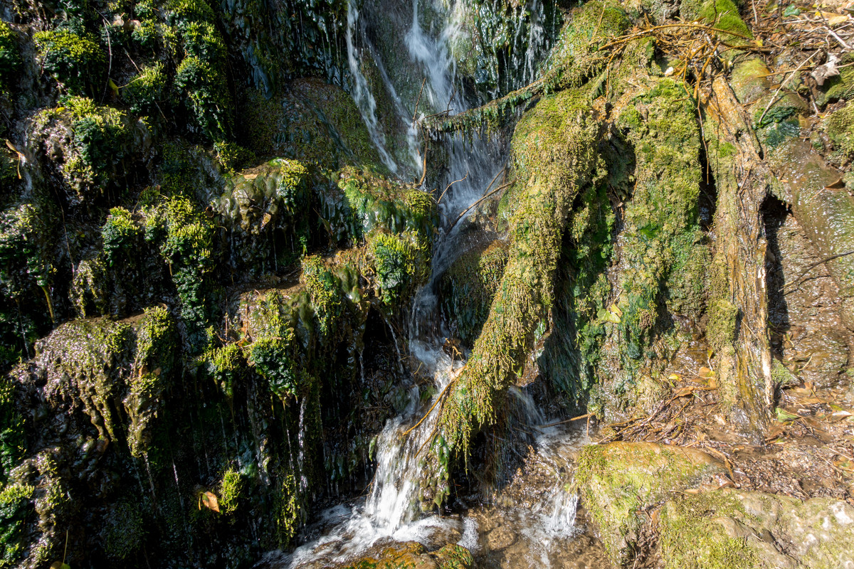 dsc04651-1_16946588969_o