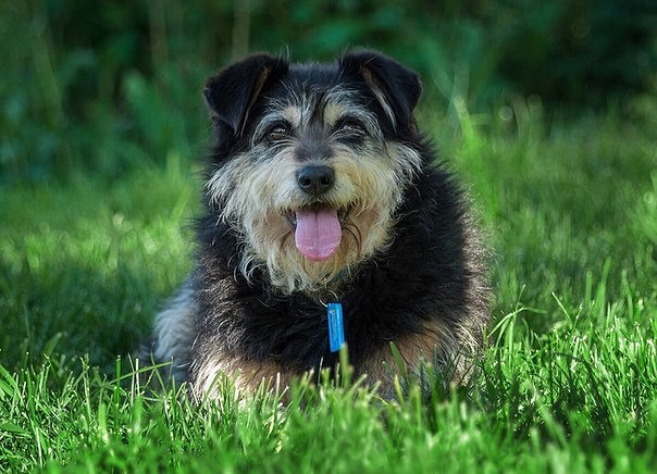 C2C97A64-E86D-4E2D-A54D-56B547F5FC95