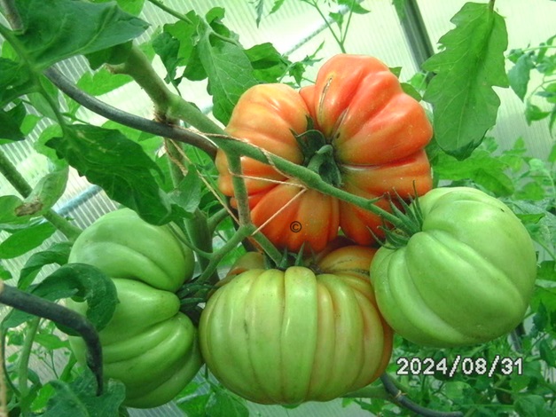 [Bild: BILD0379.jpg]