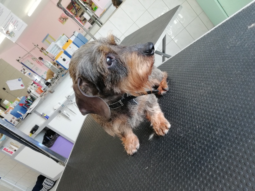 [Image: PART-1619012495627.jpg]