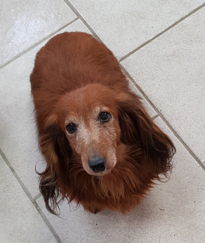 [Image: 20220112-134750.jpg]