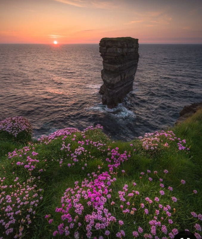 Screenshot_20240529_230222_Pinterest