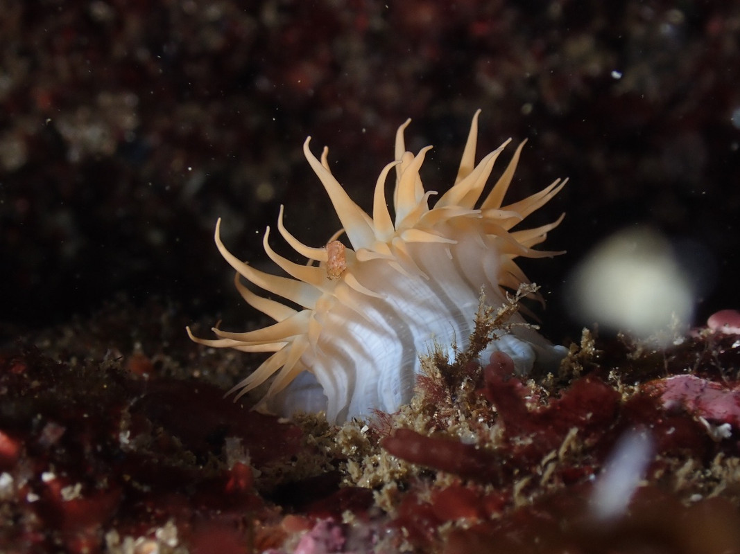 WhatsApp Image 2025-01-03 at 21.59.51 (1)