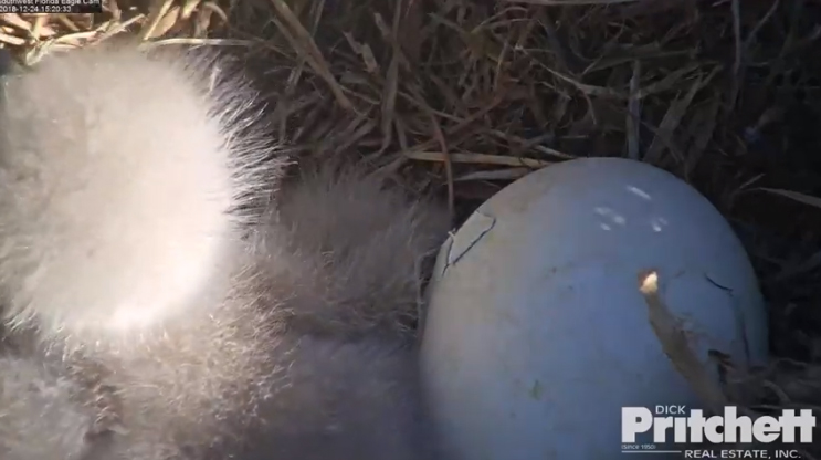 Harriet 20181224-15 copy