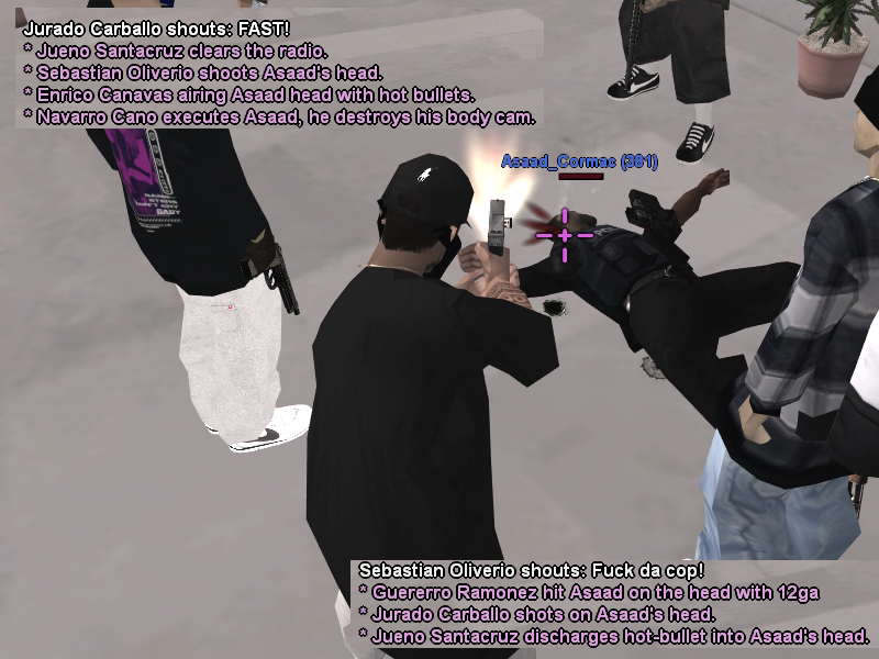 SS1.png