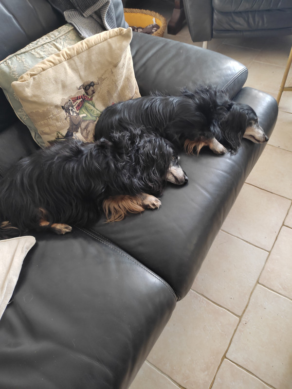 [Image: IMG-20221012-151909.jpg]