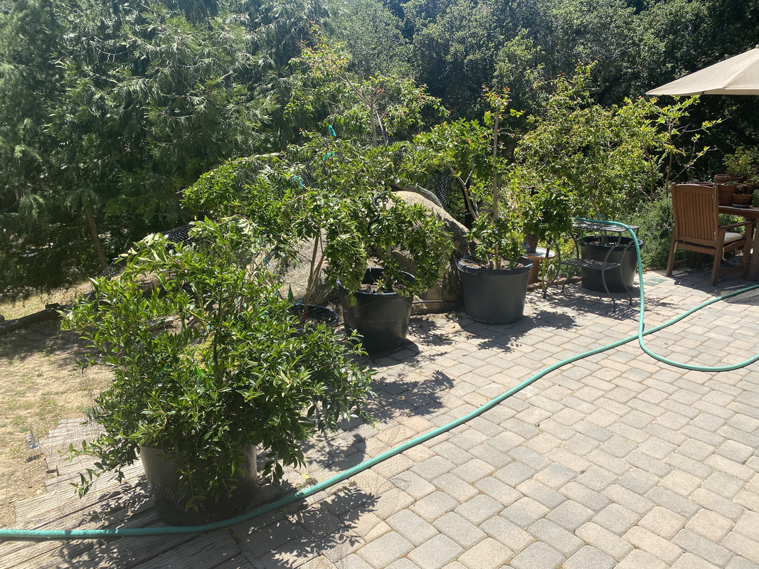 5DA4E85F-FBAD-4D42-98B3-0202E5C596DF