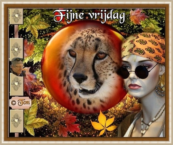 www.krabbelplaatjes.com