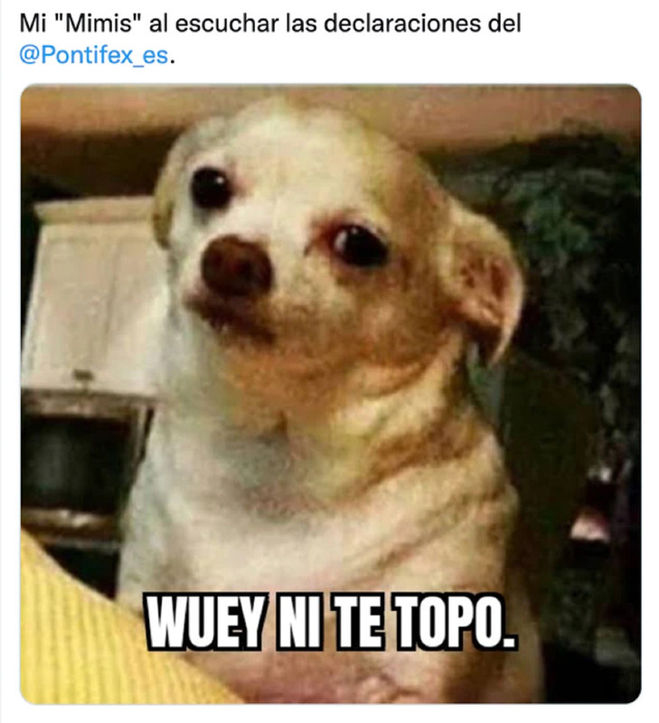 Papa Francisco, los mejores memes que le crearon por criticar a los 