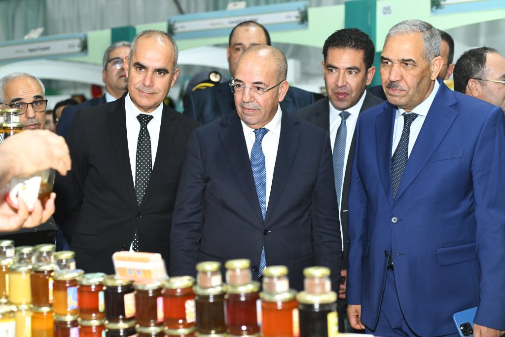 584411198-1169131945343388-3996364459449396236-n-1024x683