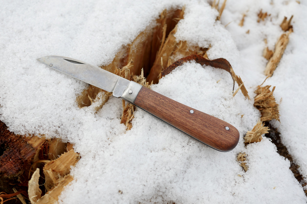 57D24494-C8B7-4A57-B925-940904694EBD