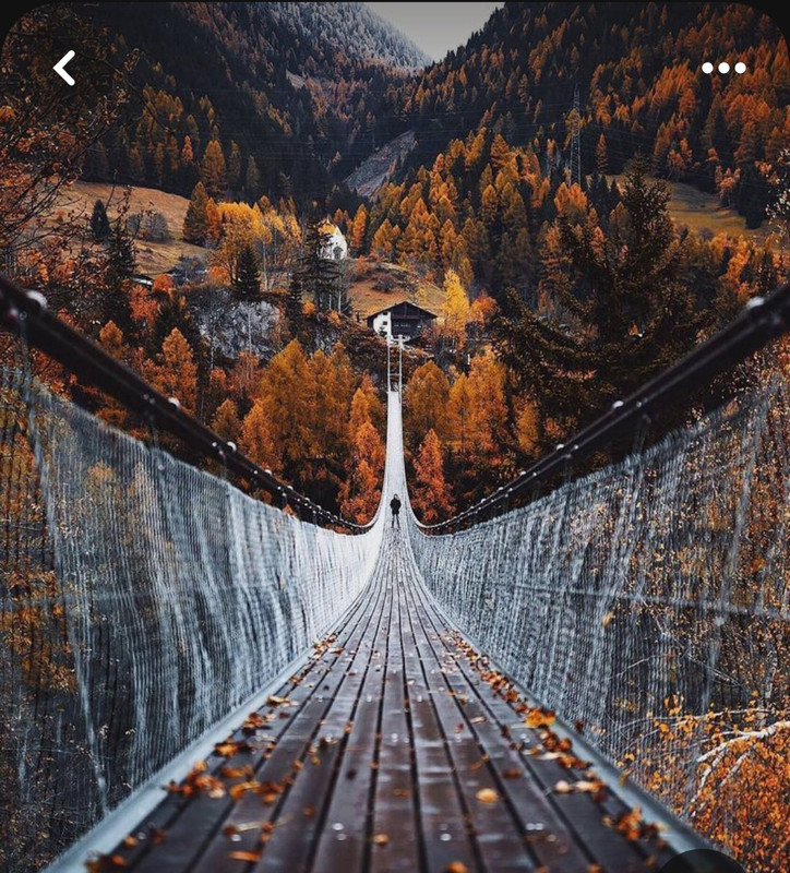 Screenshot_20231222_175544_Pinterest