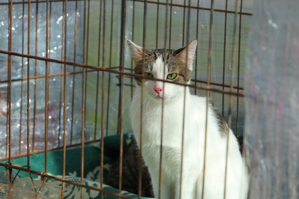 A3B593AD-73D4-46AC-B0DE-E418EE9DB154