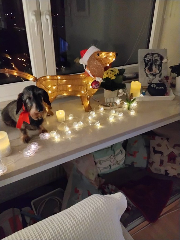 [Image: 20241224-192707.jpg]