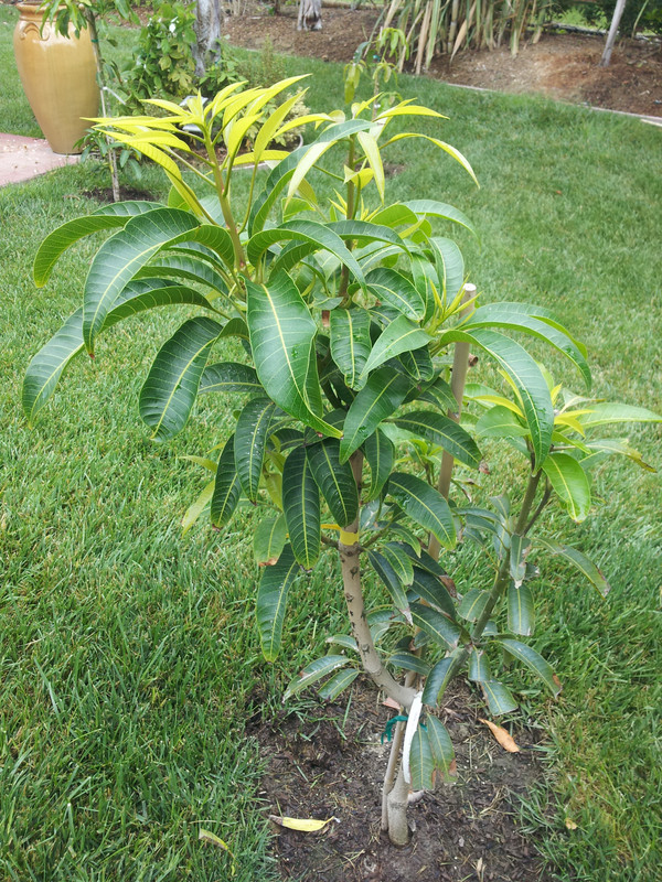 20130711_111521