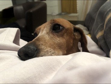 [Image: IMG-3009.jpg]