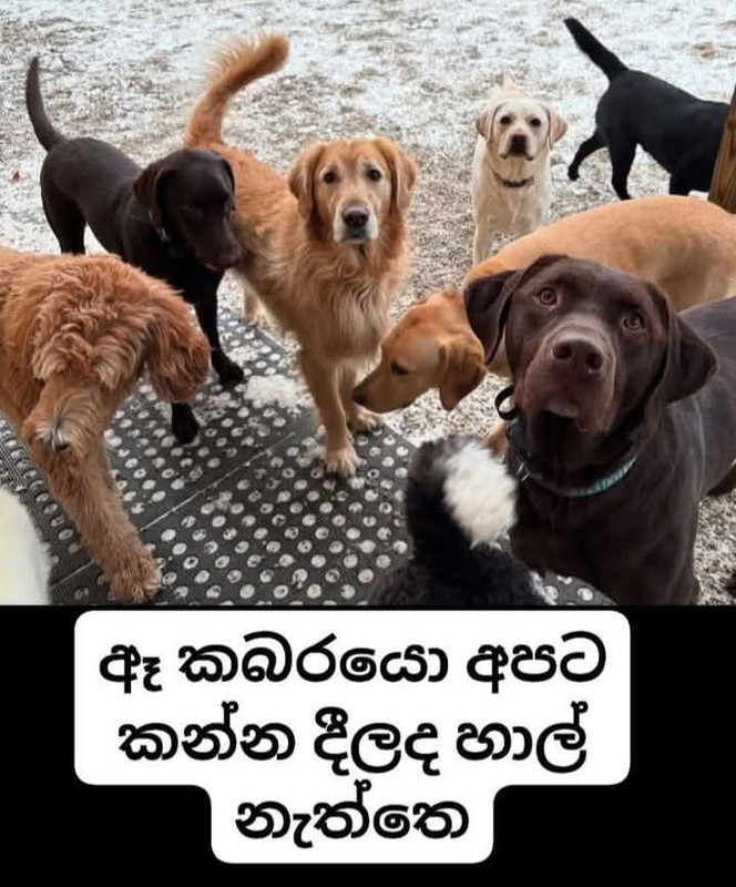 FB-IMG-1737698483512.jpg