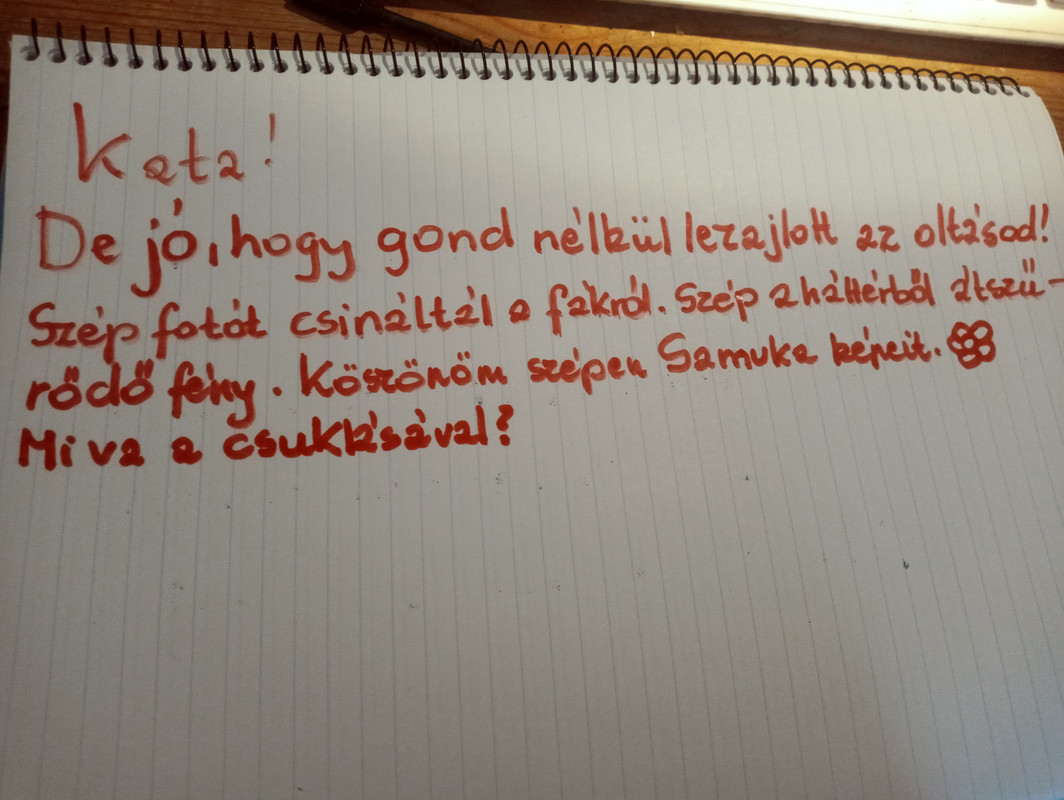 Kép