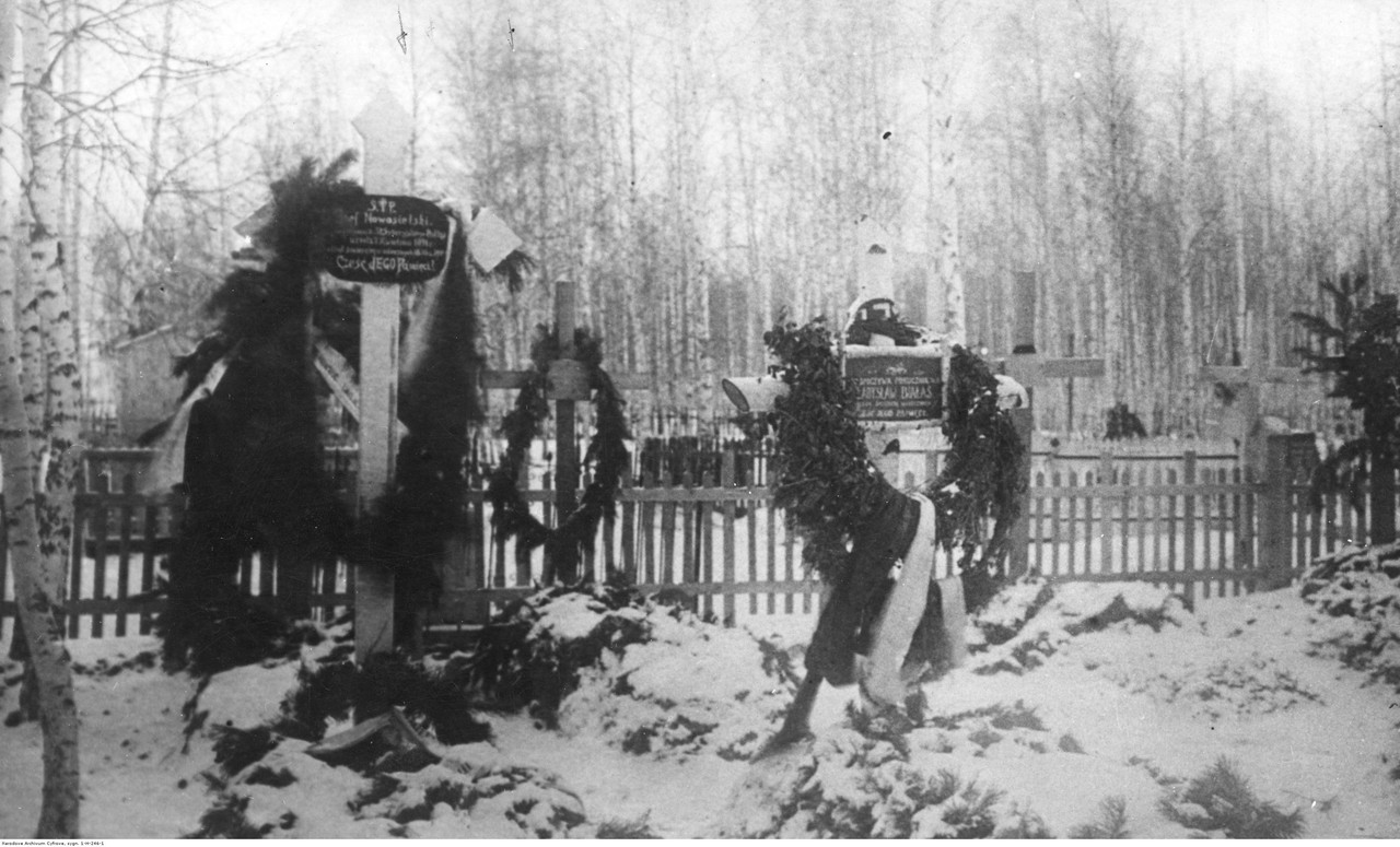 PIC1H24615_2504791_24528988