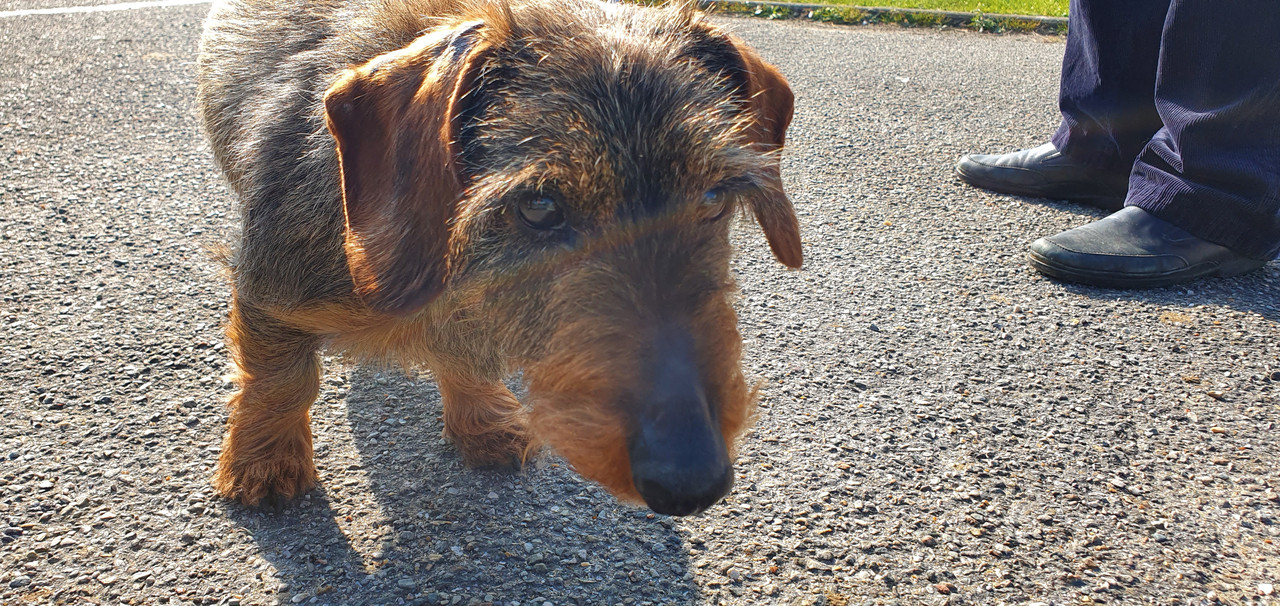 [Image: 20230303-143040.jpg]