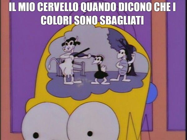 Immagine