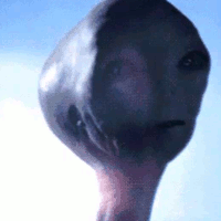 shades-of-grey-av2.gif