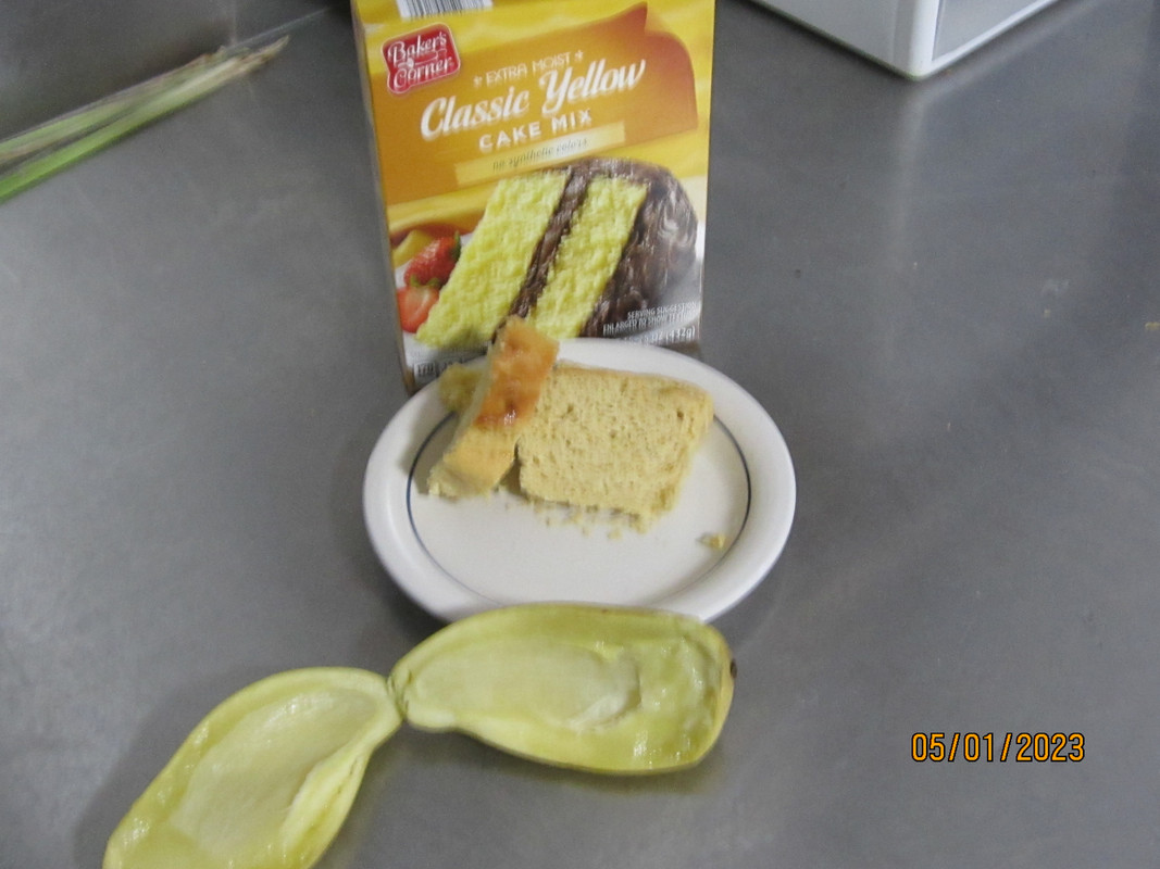 IMG 2006 — Postimages
