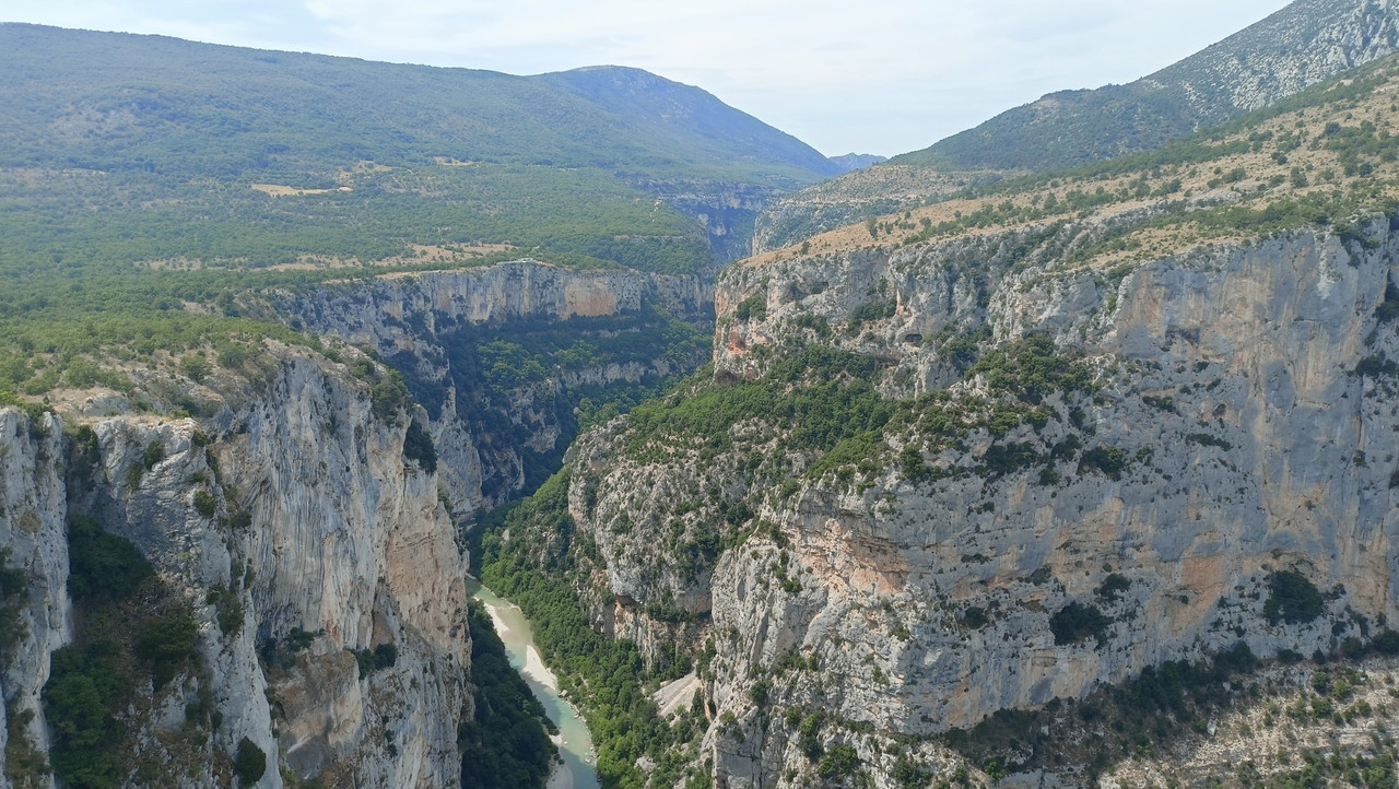 IMG20250804145100 (Large)