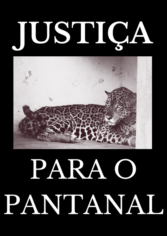 JUSTIÇA02