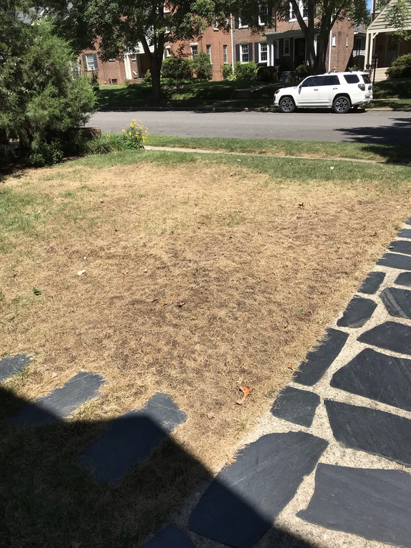 DAF288A7-CAE0-422A-B493-A15E83982E59