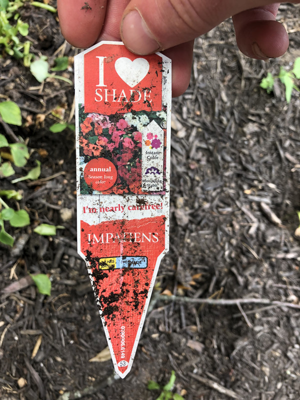 1B8551BA-3635-464E-8712-76099FDEA29D