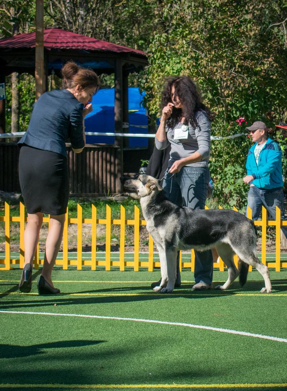 20181006 DSC 0322 — Postimages
