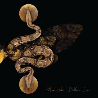 [Slika: Mario-Rasic-Balkan-Zoo-Ensemble-Balkan-Zoo-folder.jpg]