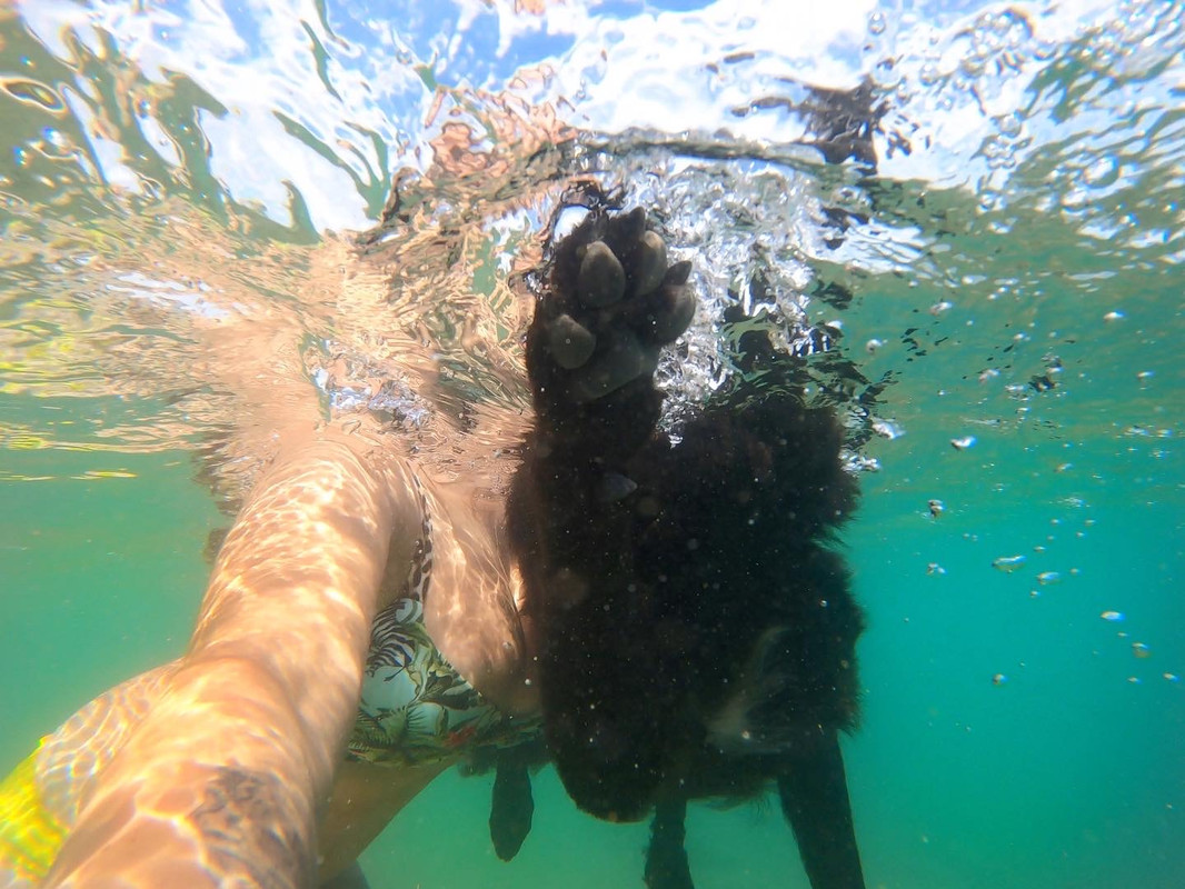 0F148C65-C3B6-44A7-BBC7-353B0CB11015