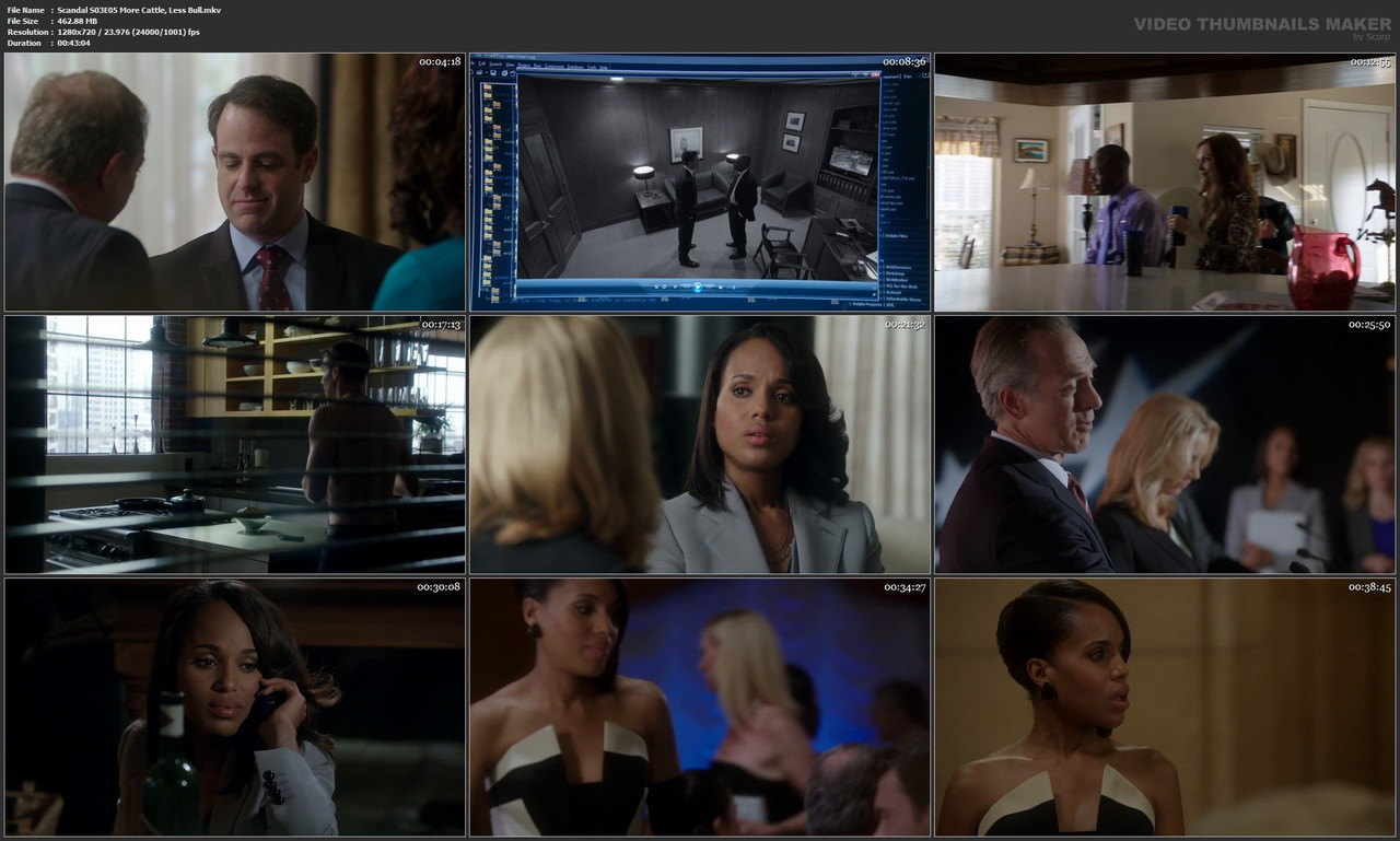 Scandal S03E05 More Cattle, Less Bull.mkv